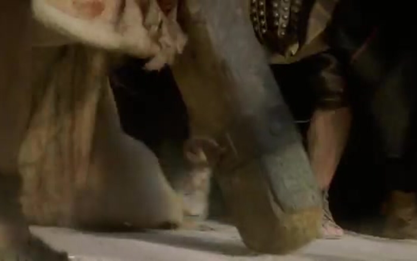 A heavy wooden crossbeam drops toward dusty ground beside a Roman sandal in a frame from The Passion of the Christ